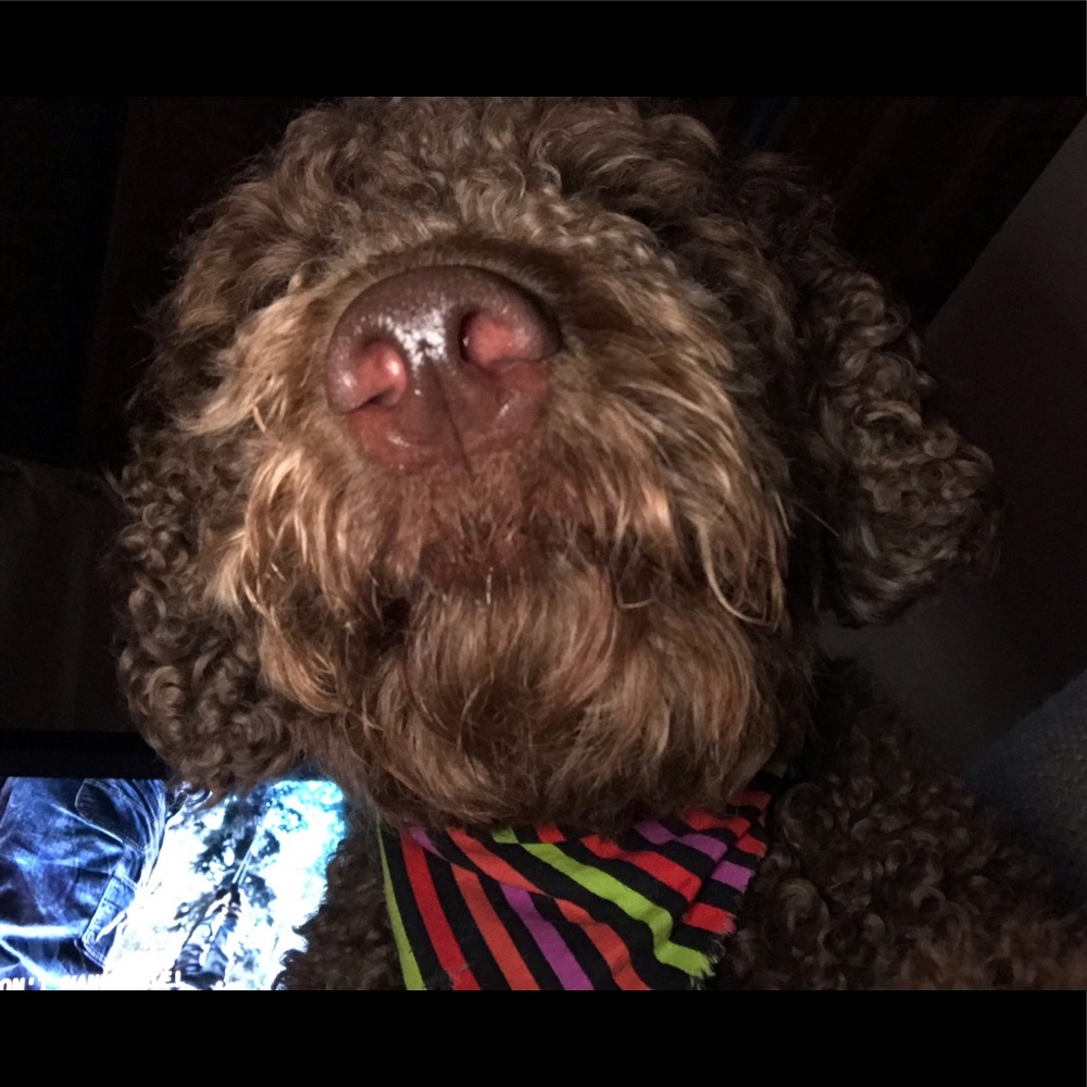 Meet your Posher, Emily